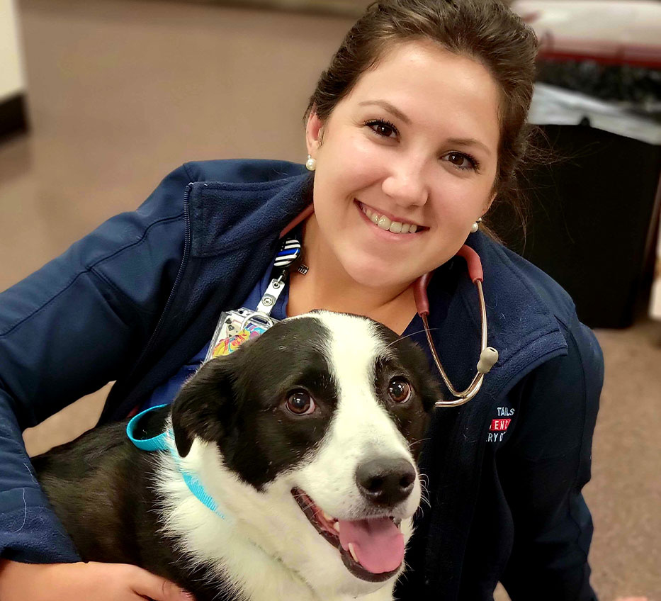 Laser Therapy for Dogs and Cats in Greensboro Happy Tails Emergency