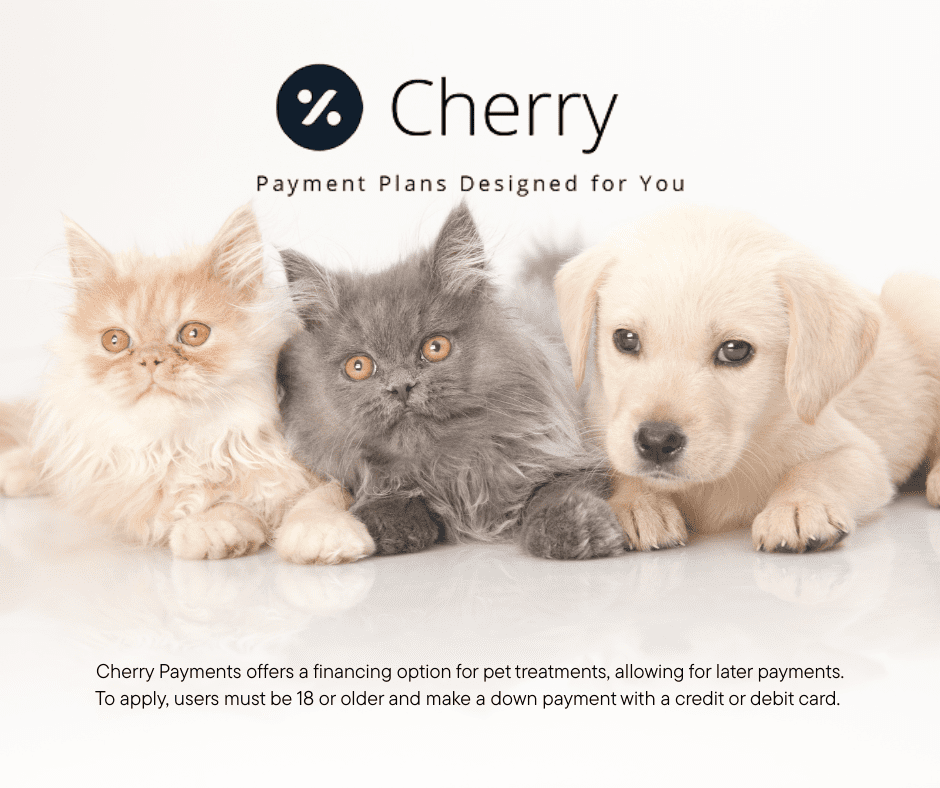 cherry logo center top with tagline "Payment Plans Designed for You" underneath; text at center bottom says "Cherry Payments offers a financing option for pet treatments, allowing for later payments. To apply, users must be 18 or older and make a down payment with a credit or debit card."; orange tabby kitten, grey kitten and golden retriever puppy all lying together in the background