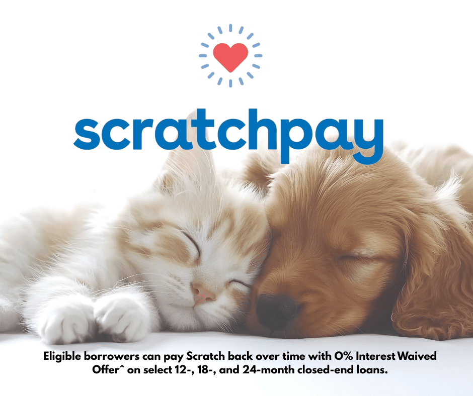 Scratchpay logo top center; text on bottom center that says "Eligible borrowers can pay Scratch back over time with 0% Interest Waived Offer^ on select 12-, 18-, and 24-month closed-end loans."; orange and white tabby cat kitten and fluffy golden retriever puppy sleeping together in background