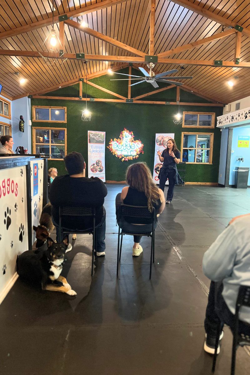 Dr G speaking at class at doggos event