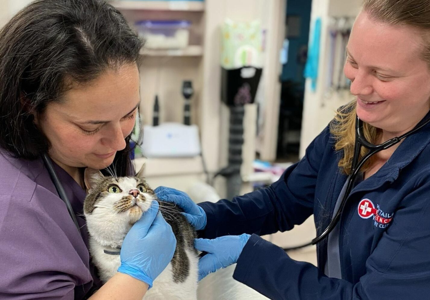 Dr Allgood And Melissa With Cat Dr Allgood And Melissa With Cat
