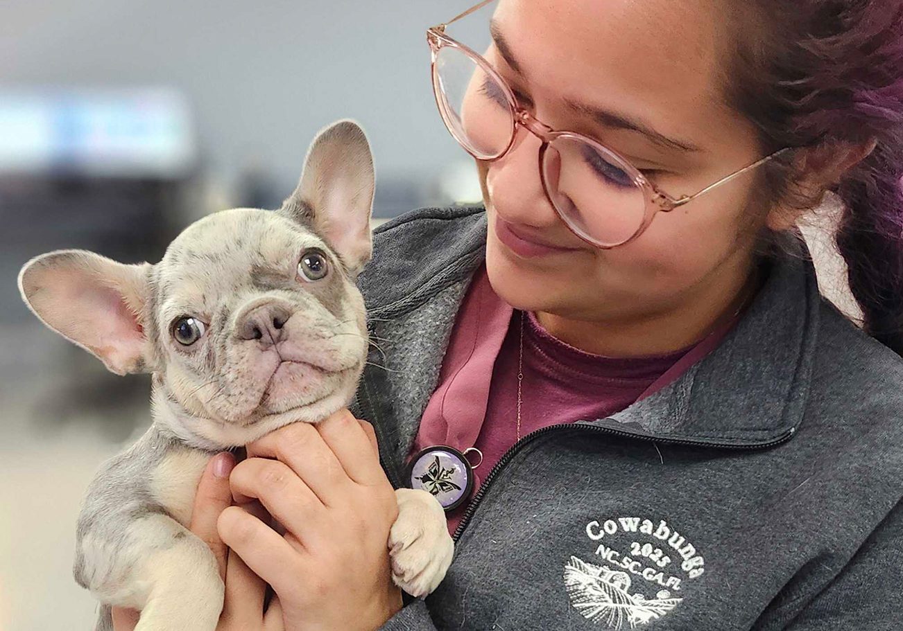 Tech Holding Puppy