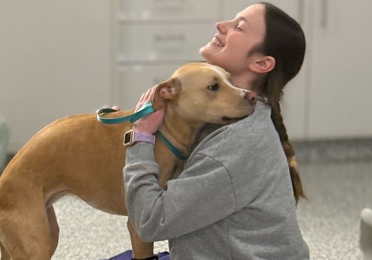 Tech Hugging Dog